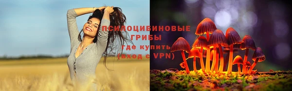 кокс Алексеевка