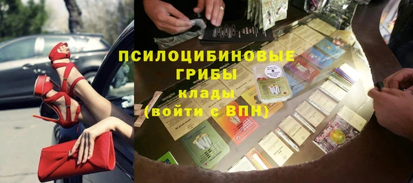 МДПВ Алексин