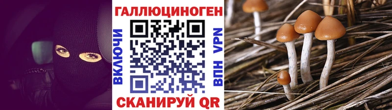 продажа наркотиков  Далматово  Псилоцибиновые грибы GOLDEN TEACHER 